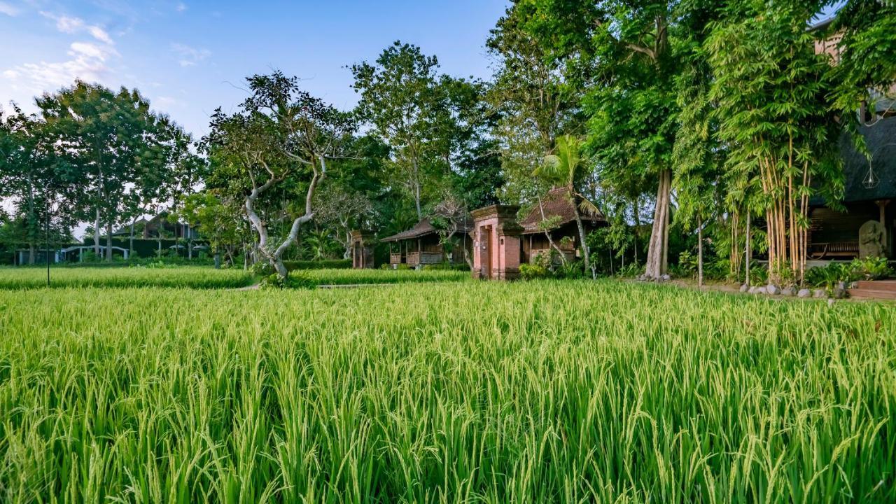Kajane Yangloni At Ubud Dış mekan fotoğraf