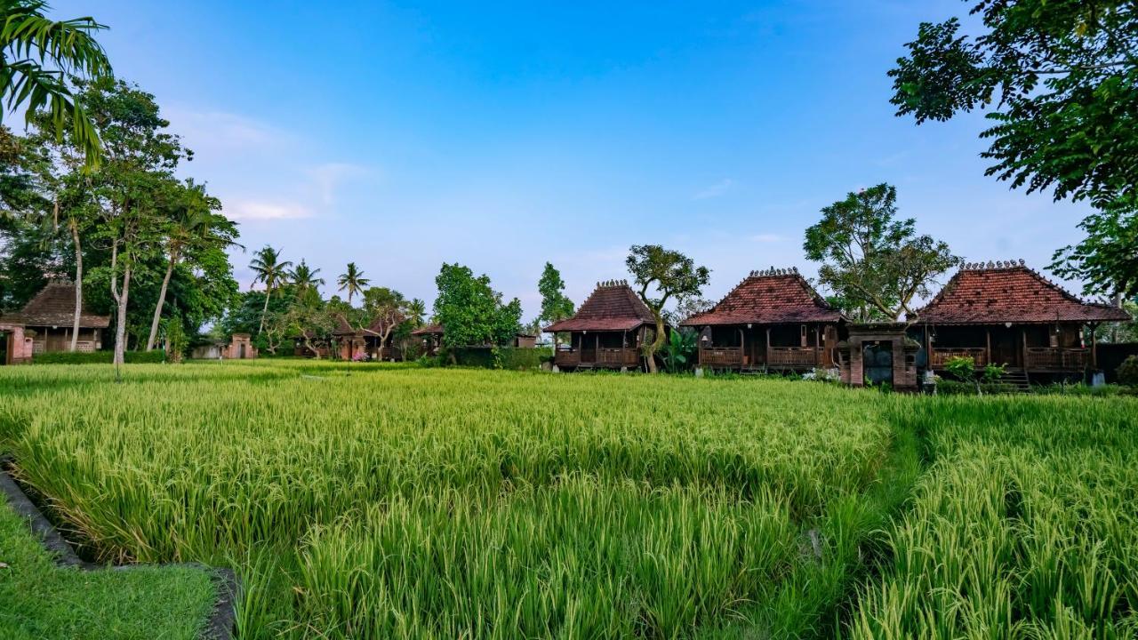 Kajane Yangloni At Ubud Dış mekan fotoğraf